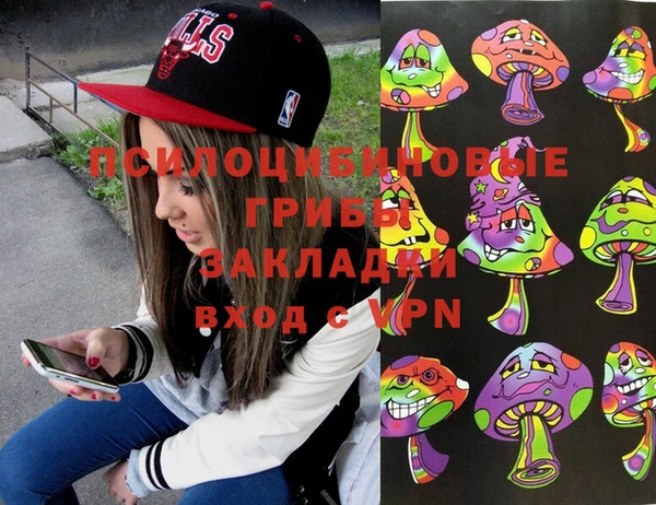 крисы Алексеевка