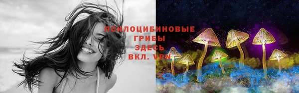 apvp Алзамай
