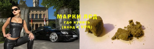 амф Алексин