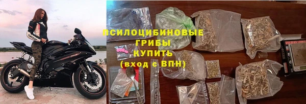 крисы Алексеевка